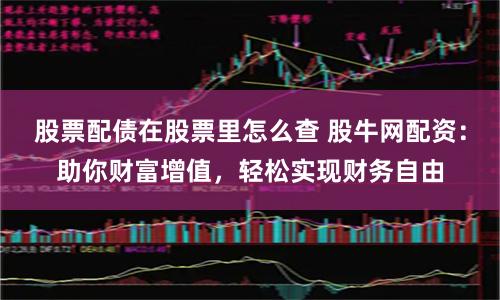 股票配債在股票里怎么查 股牛網配資：助你財富增值，輕松實現財務自由